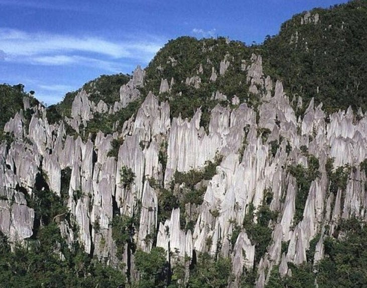 Gunung Mulu National Park, Mulu, Sarawak, Malaysia
